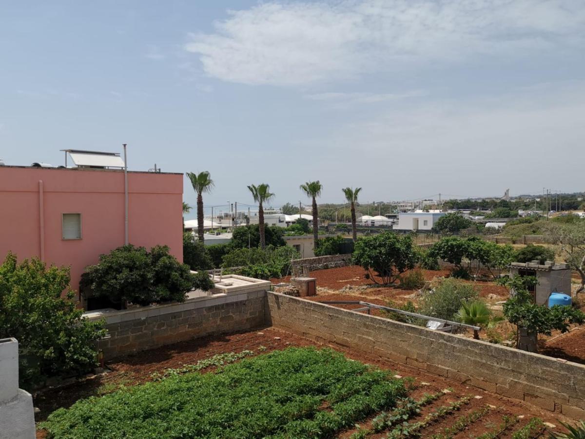דירות מרינה די פסקולוזה Casa Tramonto Vista Mare מראה חיצוני תמונה